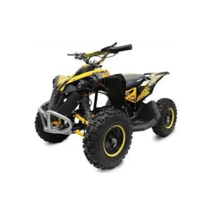 Quad Renegade XL 1000W 48V